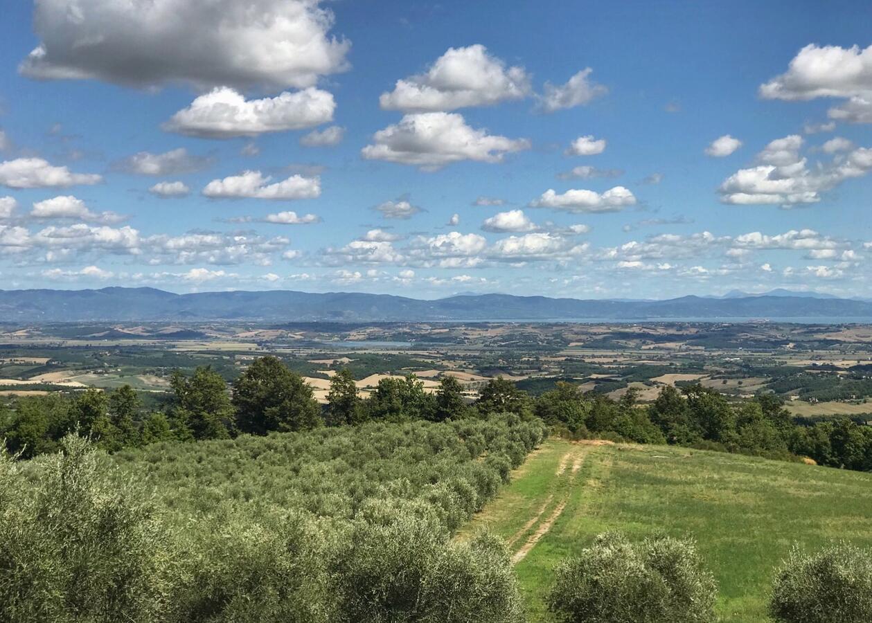 Borgo Poggio Bianco Villa Сартеано Екстериор снимка