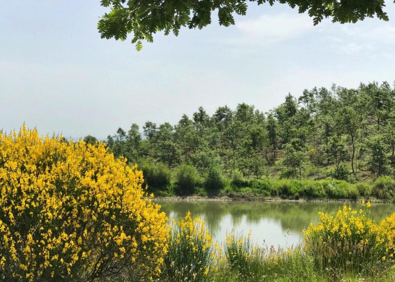 Borgo Poggio Bianco Villa Сартеано Екстериор снимка